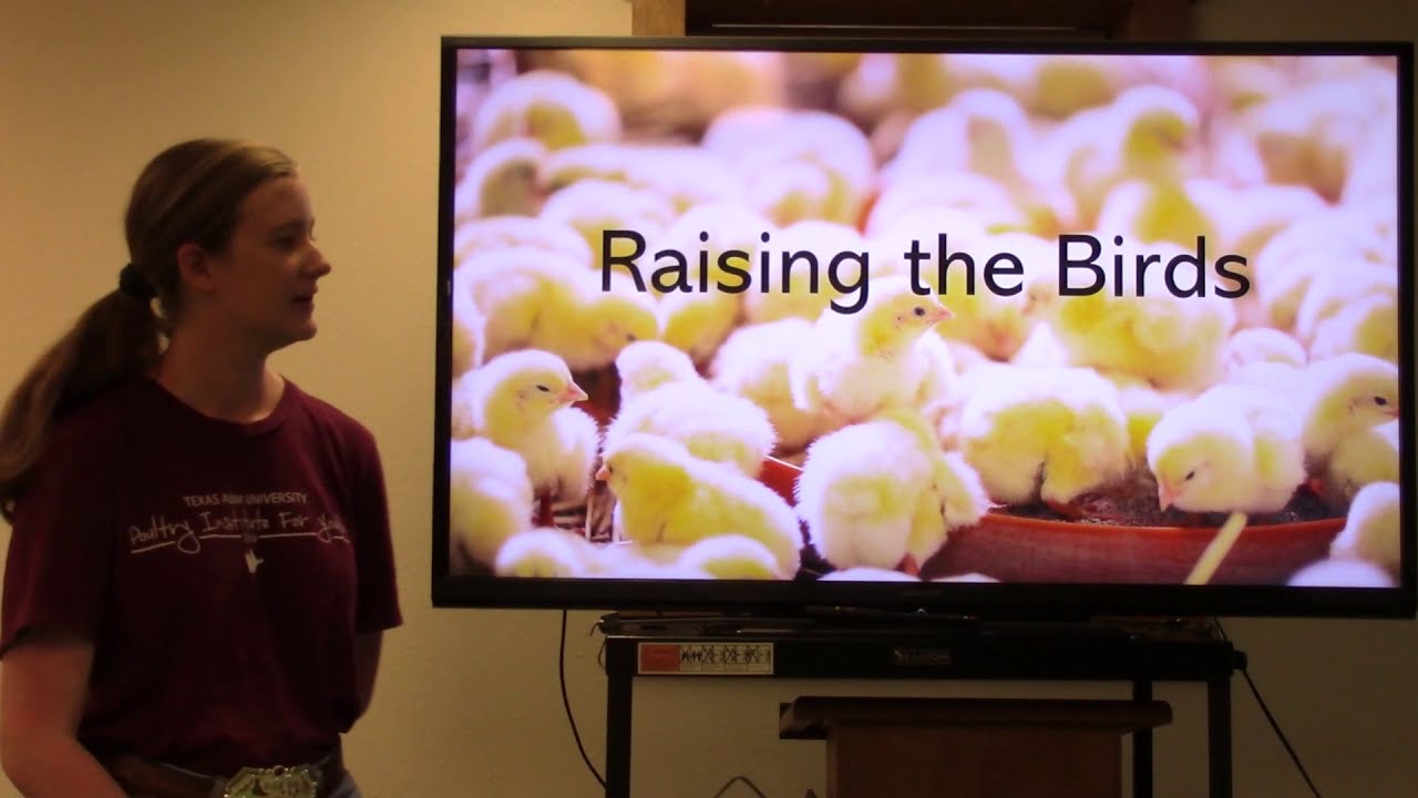 4-H/FFA Broiler Project Workshop