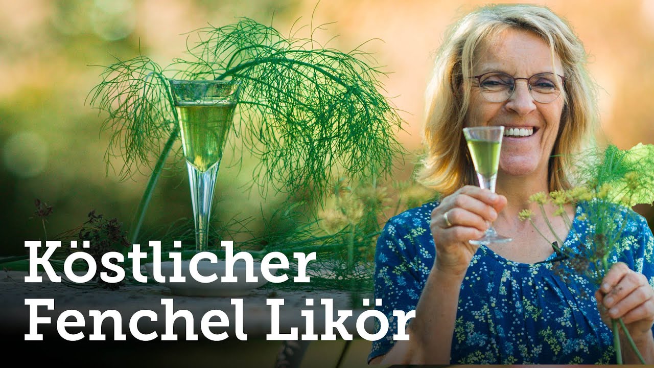 Super köstlicher Fenchel-Likör, ganz einfach zum Nachmachen! 😋🌱