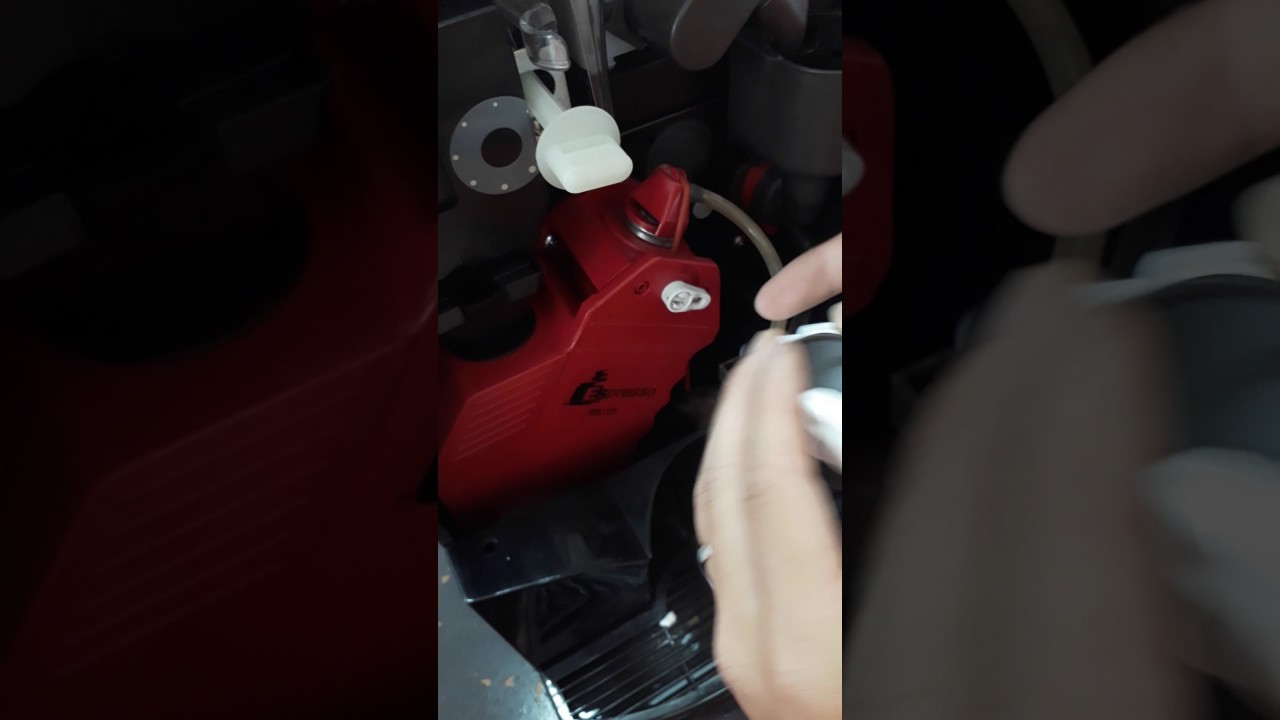 Vitale S - vmv - Part 1