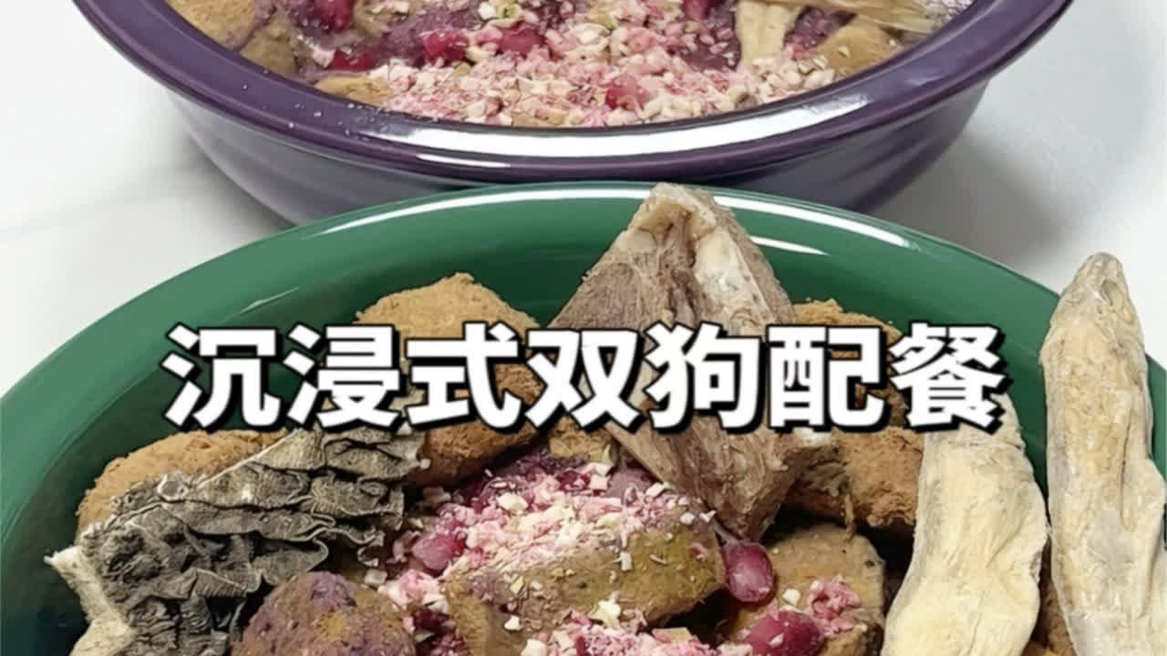 沉浸式双狗配餐