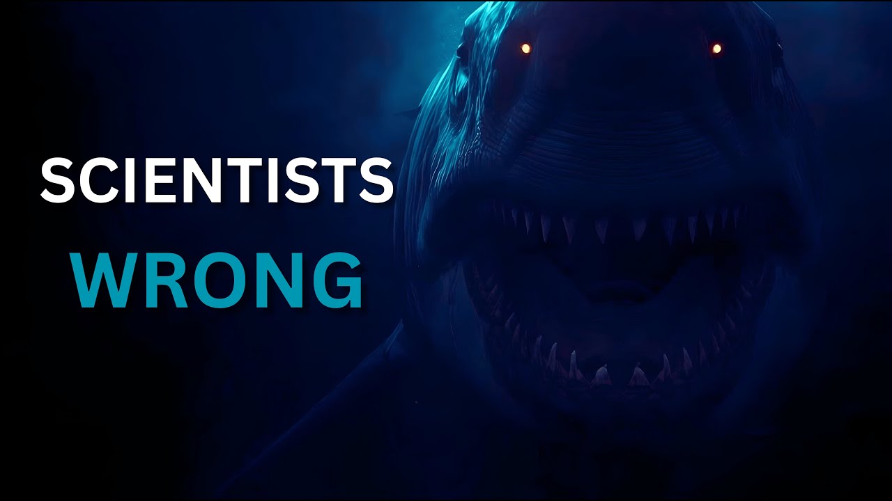 Scientists Were Wrong About Megalodon
