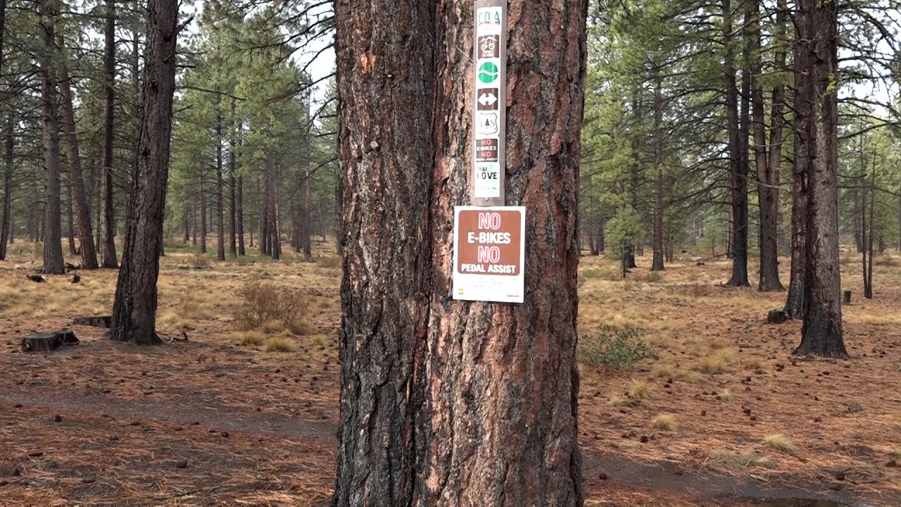 Deschutes National Forest approves Class 1 E-bike use on several Central Oregon trails