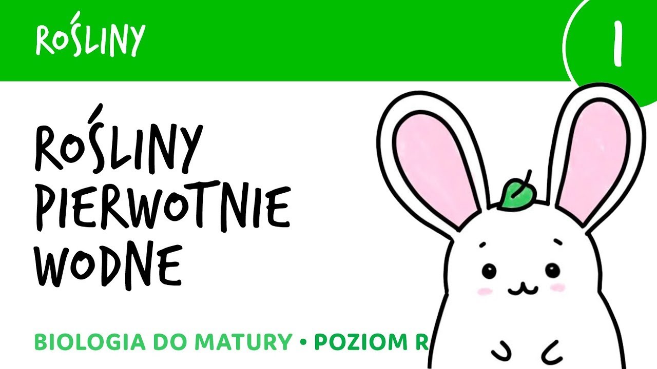 Rośliny 1🌳 Rośliny pierwotnie wodne - krasnorosty i zielenice - biologia do matury