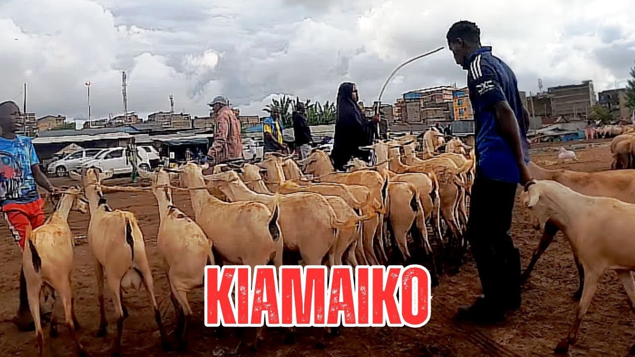 Walking from Riverside Kiamaiko to Outer Ring Road | Nairobi Street Walk 2025