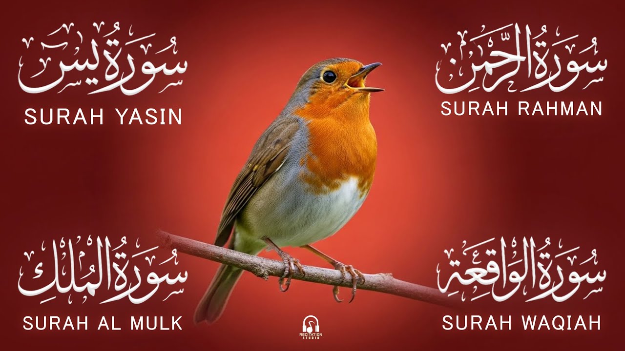 Soothing Tilawat | Surah Yasin | Rahman | Mulk | Waqiah | Emotional Quran With Peaceful Serenity