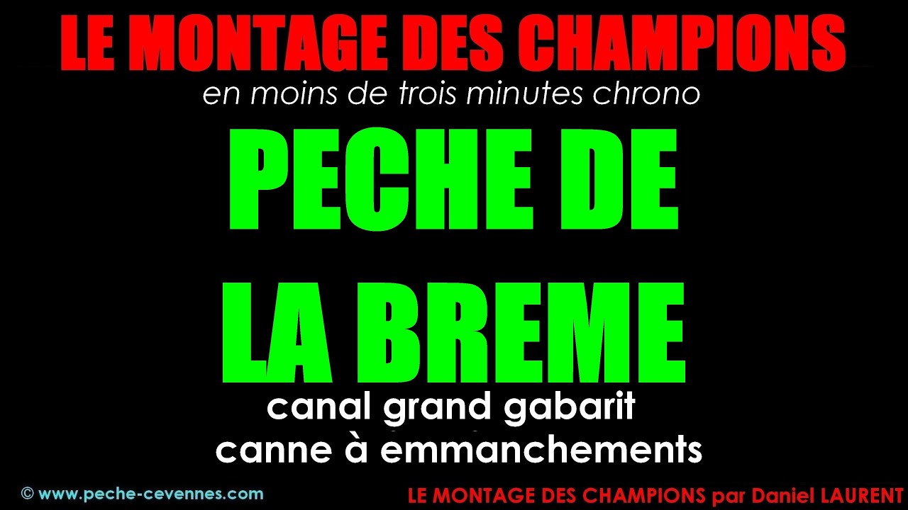 P&ecirc;che facile de la br&egrave;me en canal grand gabarit &agrave; la canne &agrave; emmanchements