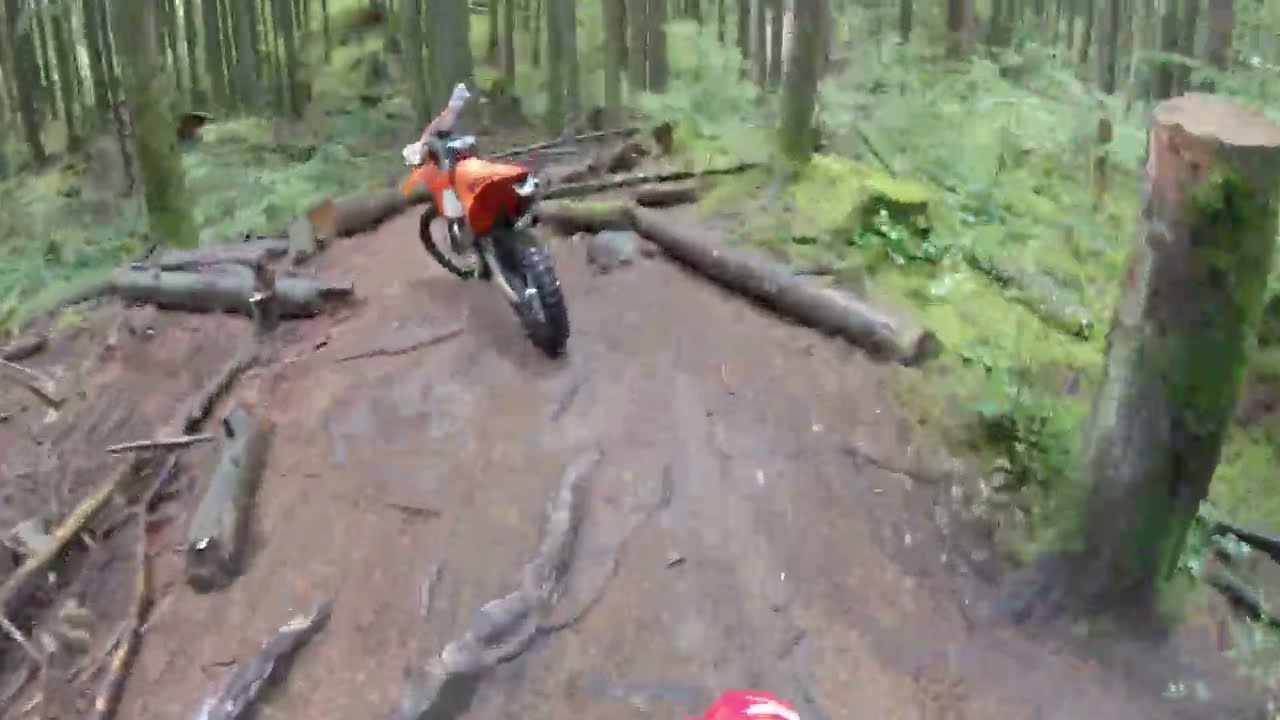 Mcnutt - The Chute & old Line