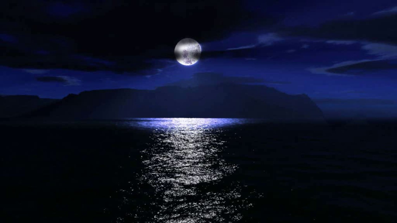 Craig Padilla - Moon Tides