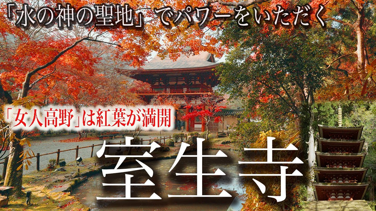 【1200年の癒やし】女人高野・室生寺で紅葉と龍神に見守られる秋の絶景ひとり旅