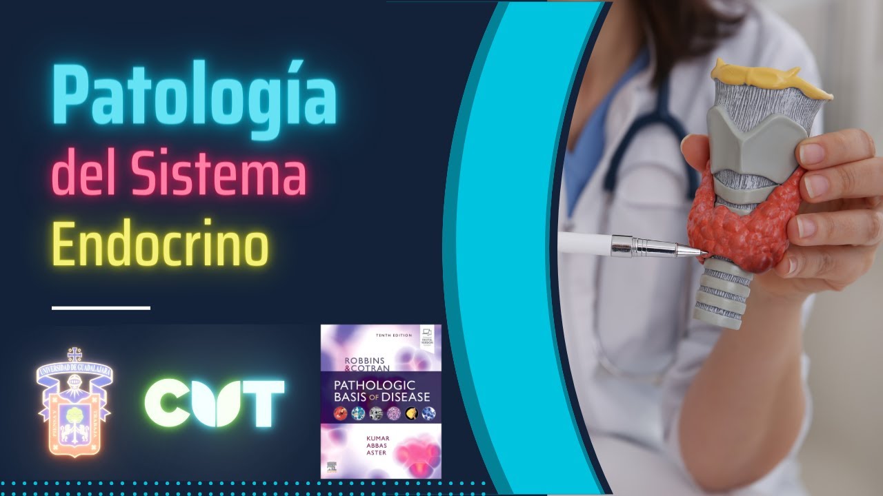 Emisión en directo - Patología del sistema endocrino - Curso 2023A
