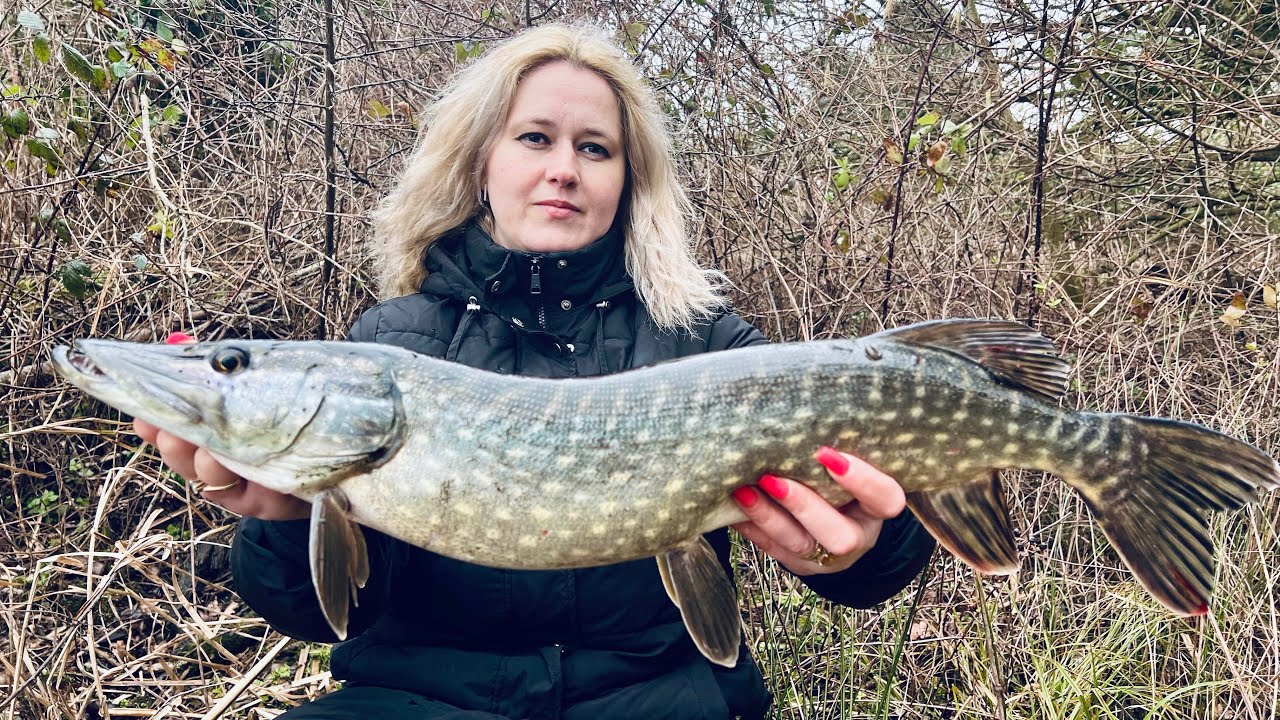 Pescuit în familie! Pescuit la știucă cu jerkbait! 2025  #pikefishing #pike #fishing #lurefishing