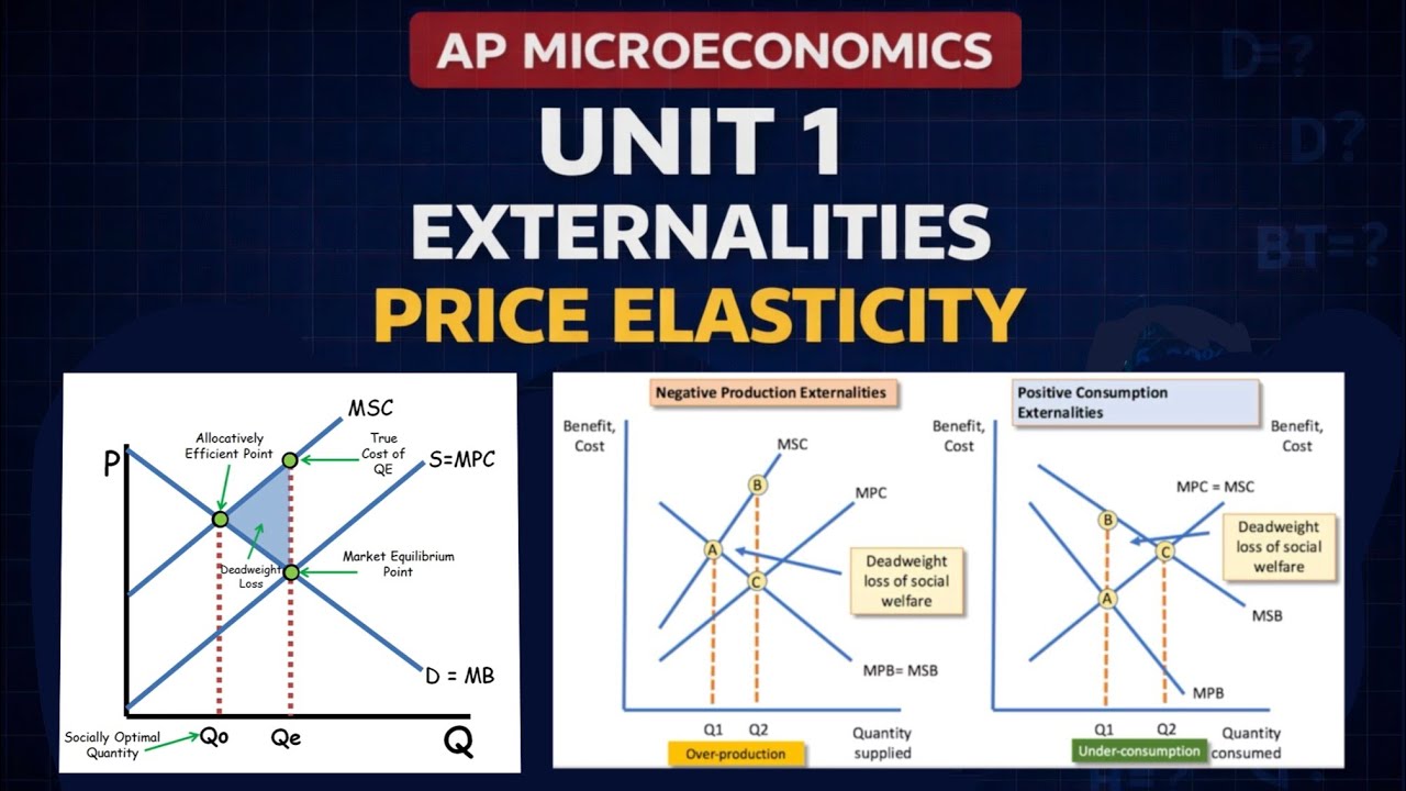Unit 1: Supply and Demand Full Review (Vocab + Concepts) |AP Microeconomics