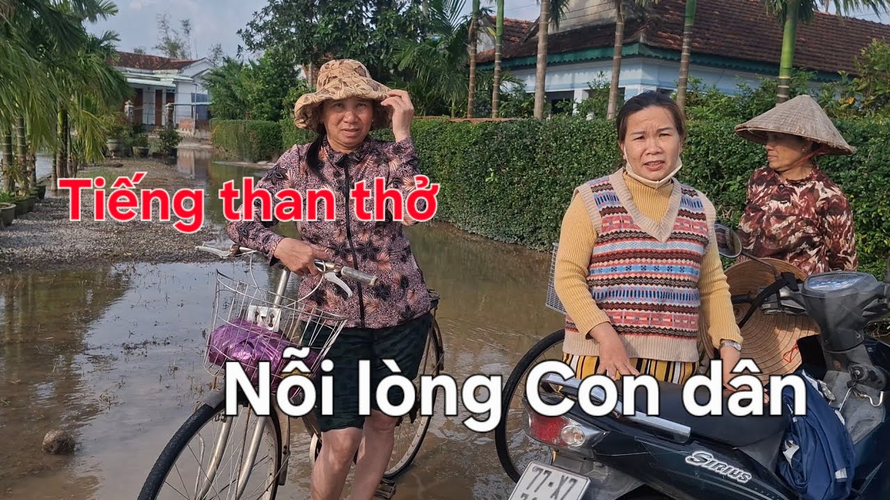 Tiếng than thở và nỗi lòng trắc ẩn . Thương Bà con vùng lũ , ngóng chờ hàng tài trợ #huyhuytranpro