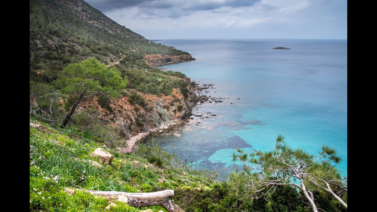 The west coast of Cyprus