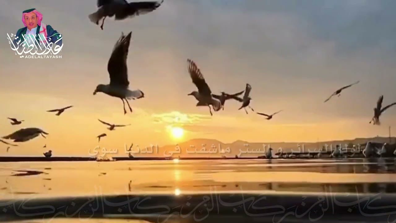 قصيدة ركاب الزمن - شعر و إلقاء :  #عادل_الطياش