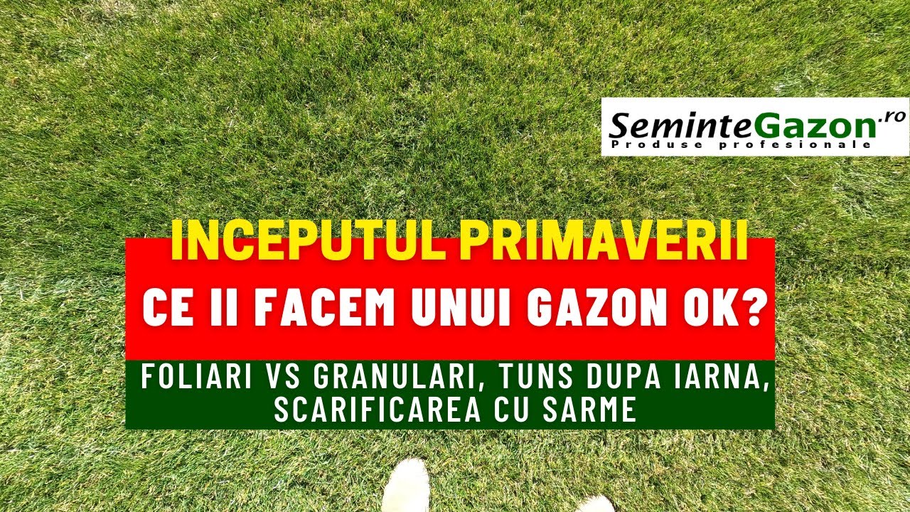 Inceputul primaverii. Ce ii facem unui gazon ok? Evolutia lui in ultimii 2 ani. Foliari vs granulari