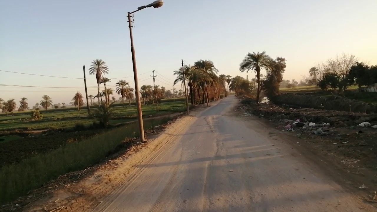 آرياف مدينة #ملوى محافظة #المنيا. ١٤ ٢ ٢٠٢١