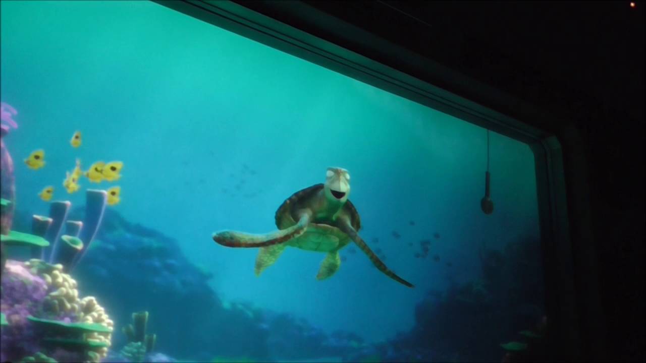 TDS　タートルトーク　少しハプニング！　クラッシュ焦る！2016.6.25