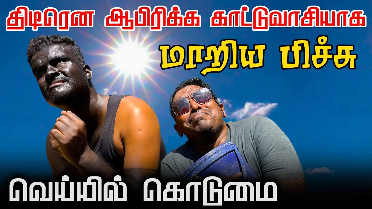 வெய்யிலில் வெந்து போன யாழ்ப்பாணத்தான் | Srilankan Tamil Comedy | Akkuddiyum pichumaniyum #trending