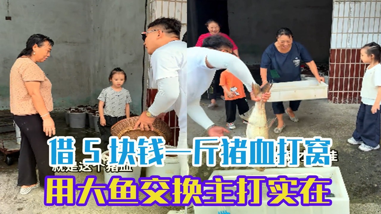 借5塊錢壹斤豬血打窩，用大魚交換主打實在不忽悠人#吳天宇在路上 #釣魚#fishing