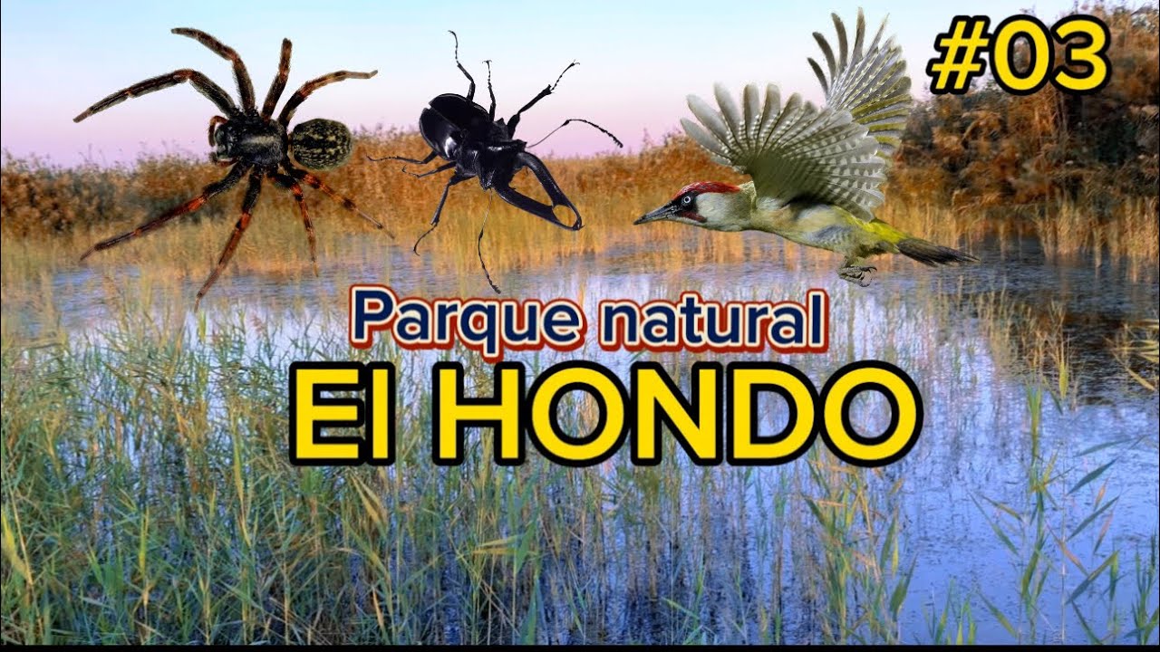 ذهبنا الى محمية للطيور EL_HONDO# . لكن ما وقع مع زوجتي لم يكن متوقعا