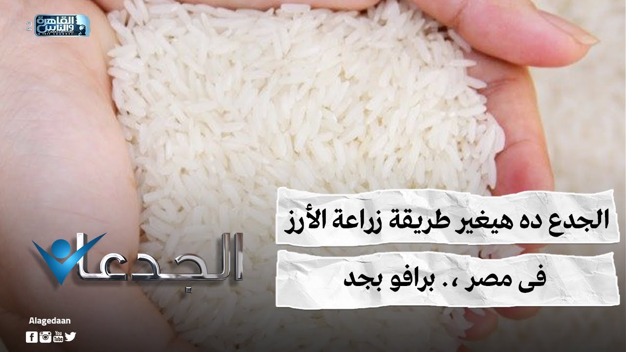 الجدع ده هيغير طريقة زراعة الأرز فى مصر ،. برافو بجد