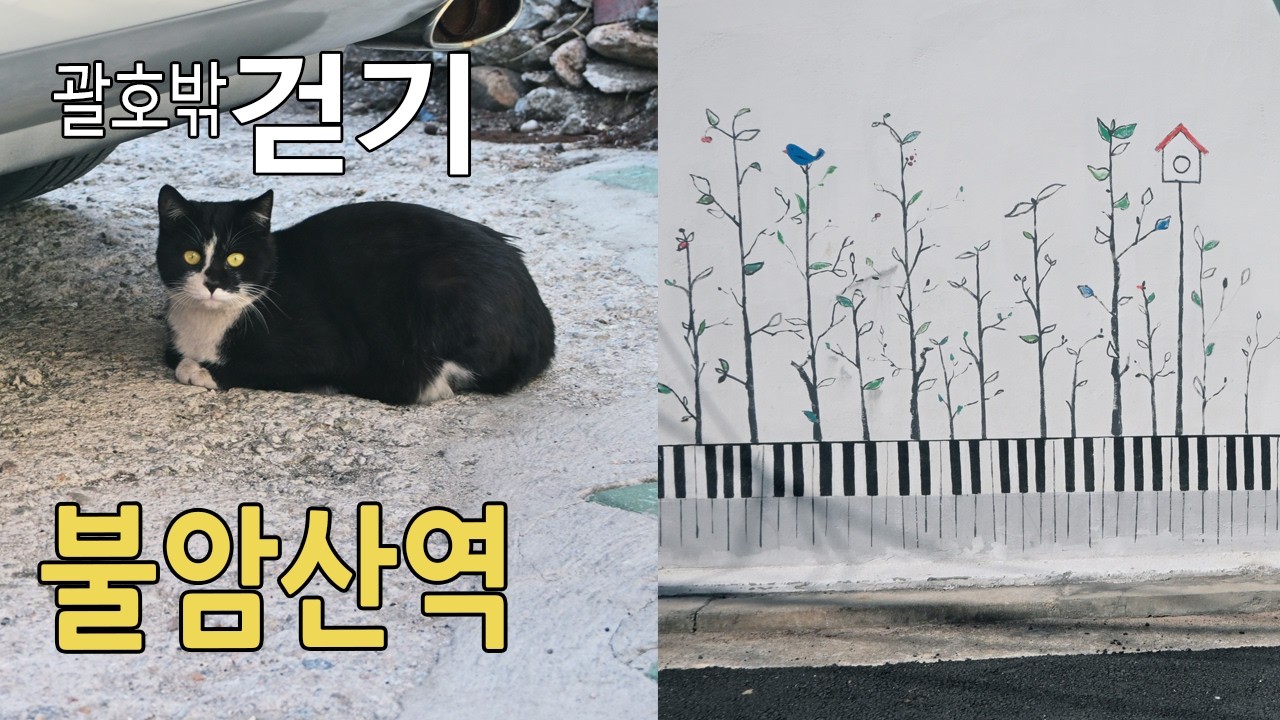 불암산역 주변 걷기