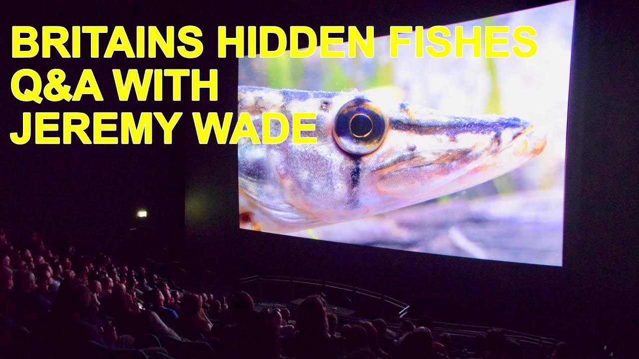 Q&A with Jeremy Wade & Jack Perks : Britain's Hidden Fishes