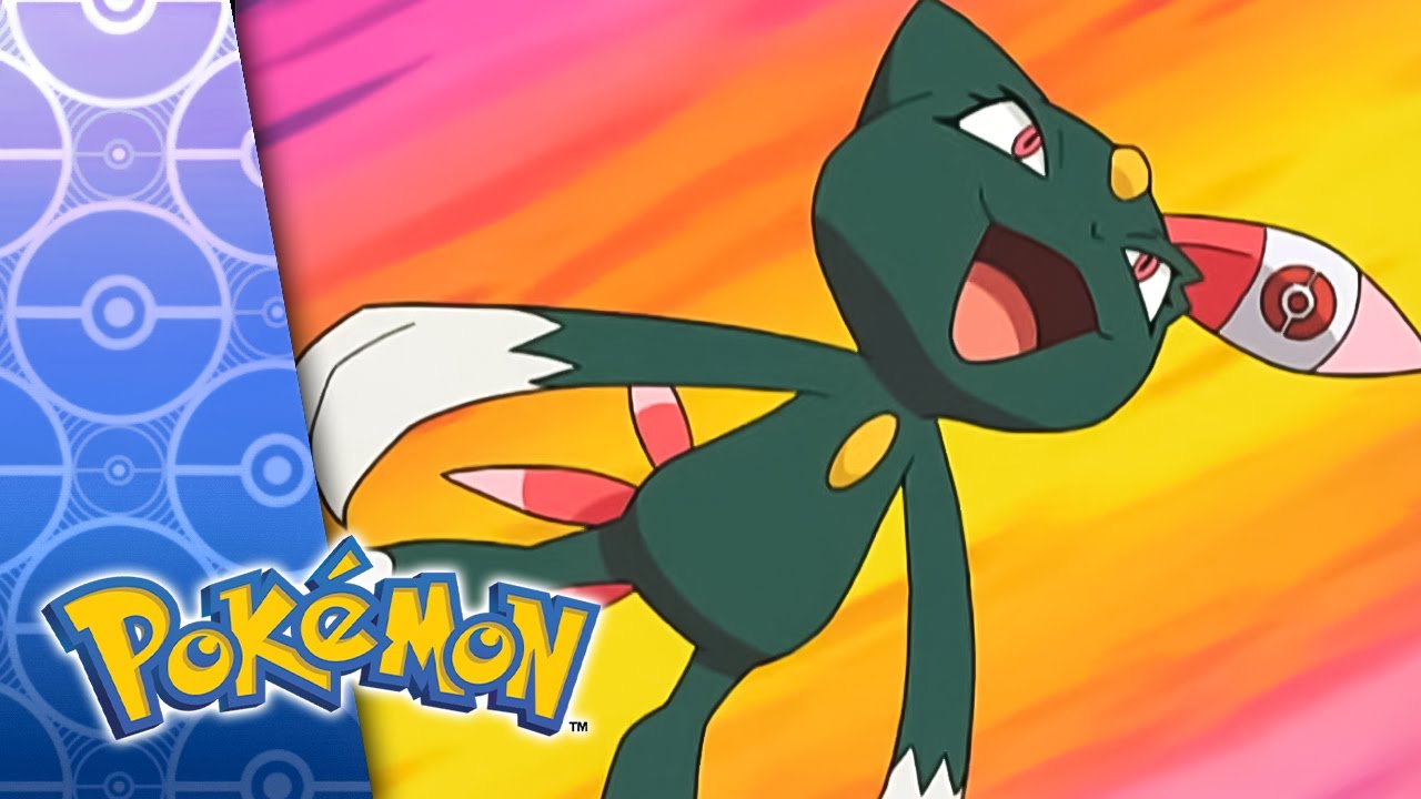 Кто в школе главный? | POKÉMON FULL EPISODE 15 | Season 6