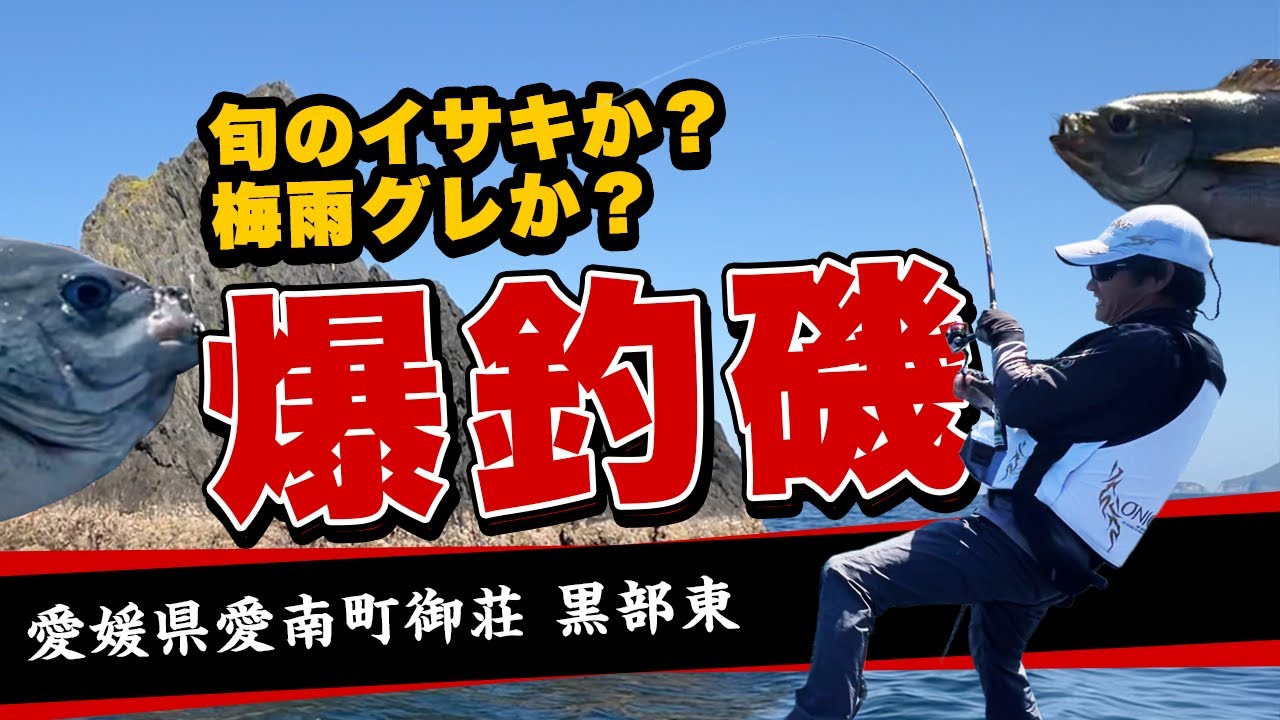 【国釣】旬のイサキと梅雨グレを求めて、国見孝則が愛媛県愛南町の爆釣磯で勝負！