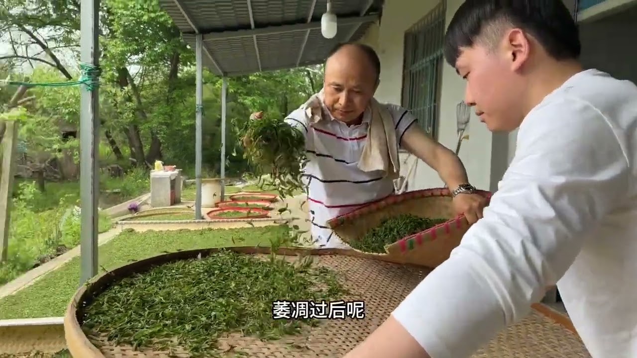 手工雨花红茶摊青日光微雕