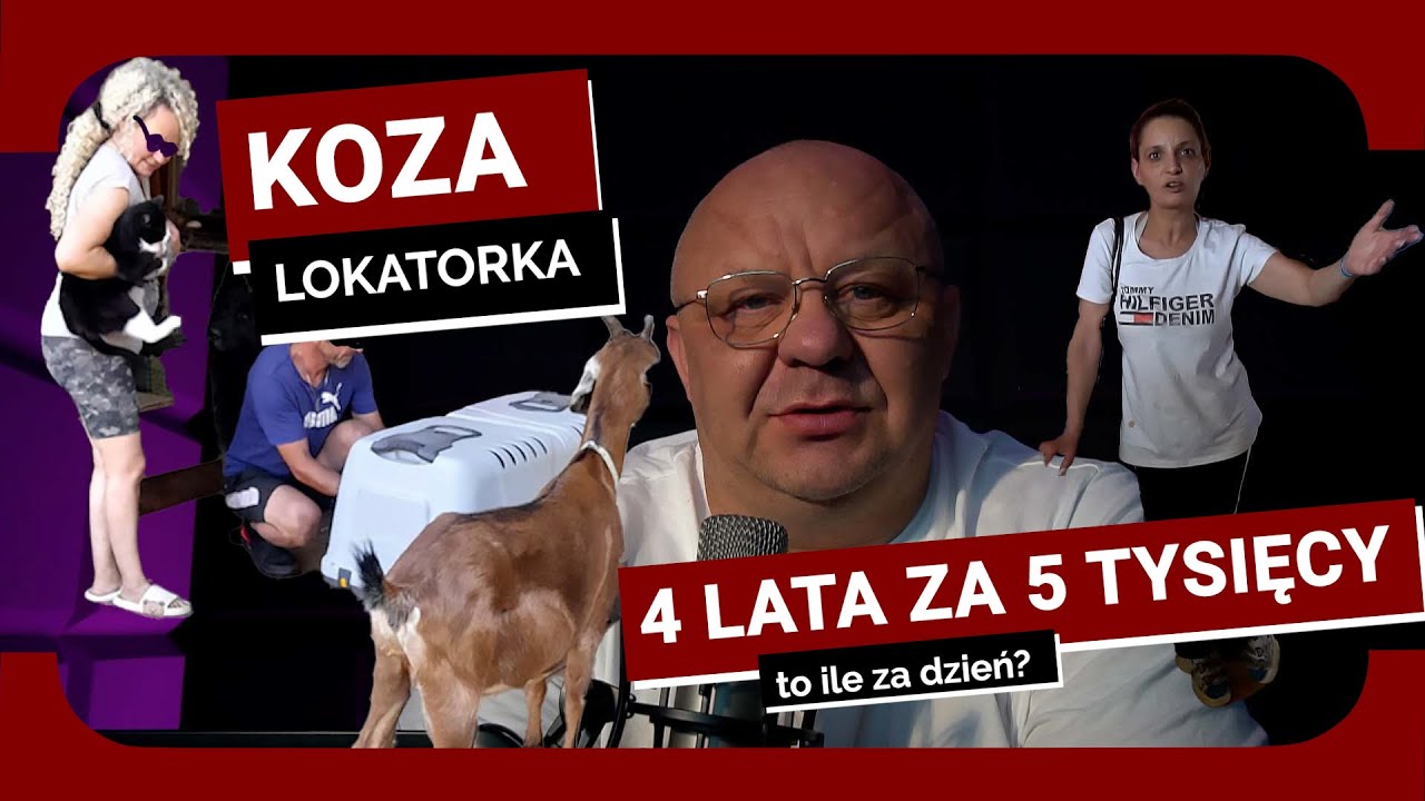 BEZCZELNOŚĆ LOKATORKI