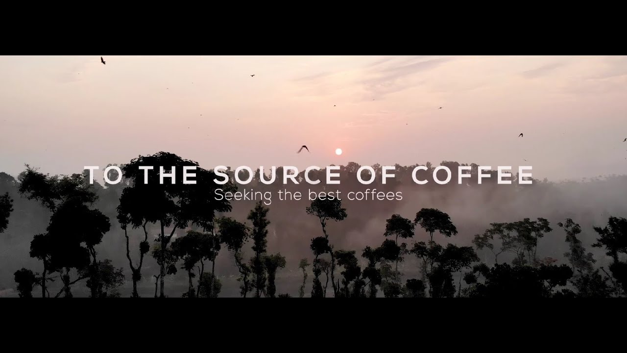 To the Source of Coffee - Film La Semeuse 2023 EN