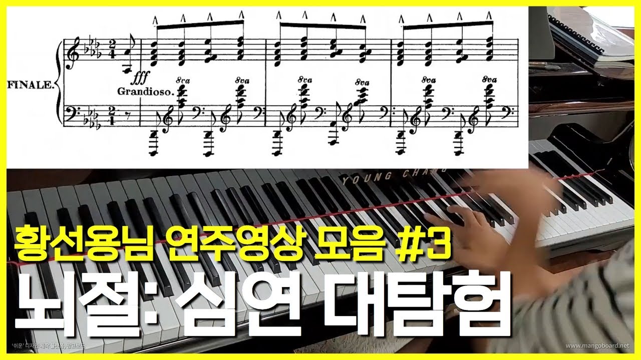 Seonyong Hwang's Performance Clips #3 (Abyss of the Classical Music)