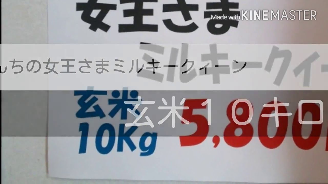 玄米食に最適です・送料無料の無農薬ミルキークィーンです。2016