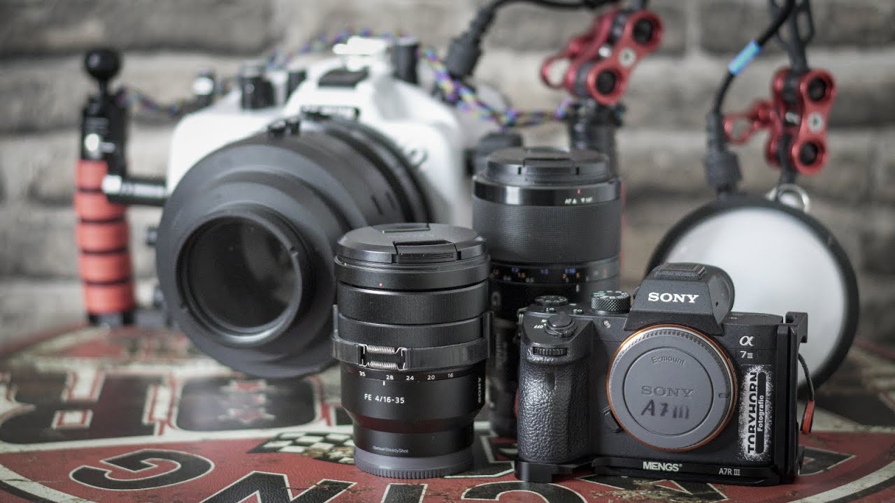 Mein neues Unterwassersetup (Sony Alpha 7III // Ikelite Unterwassergehäuse)