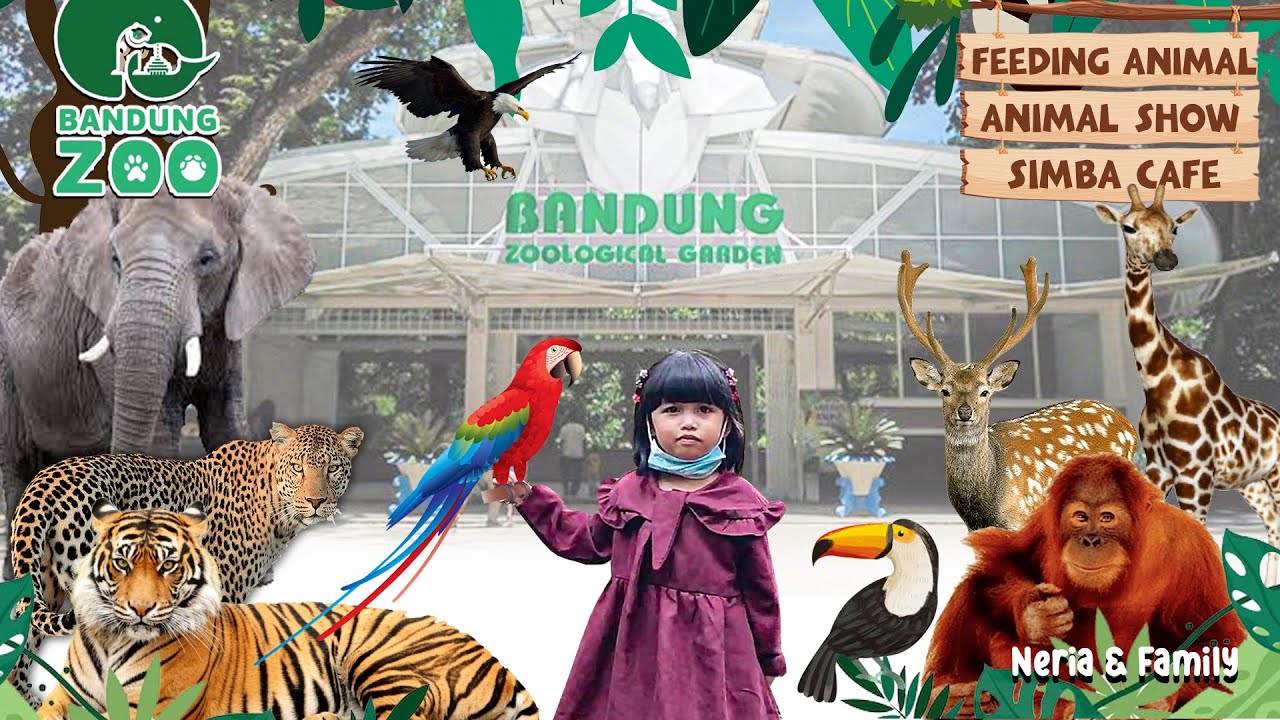 Kebun Binatang Bandung - Bandung Zoological Garden