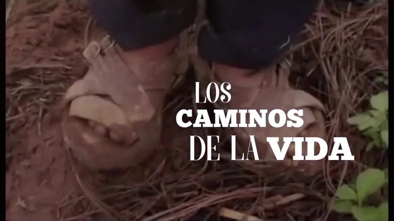 LOS CAMINOS DE LA VIDA / Banda Lirio (Video Lyric)