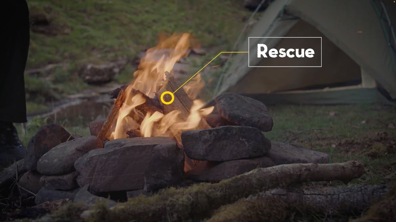 Wild Bible | Rescue: Who can save us? (Part 2)