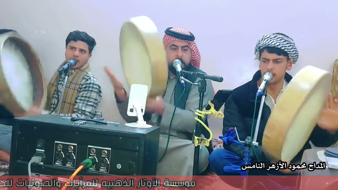 المداح محمود الأزهر النامس 2026 مديح يهيم موسسة الأوتار الذهبيه 
