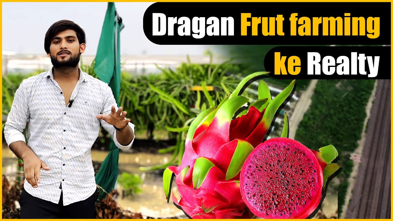 Dragon Fruit लगाने से पहले यह जांच लें | Dragon Fruit Farming | Bhartiya Kisaan |