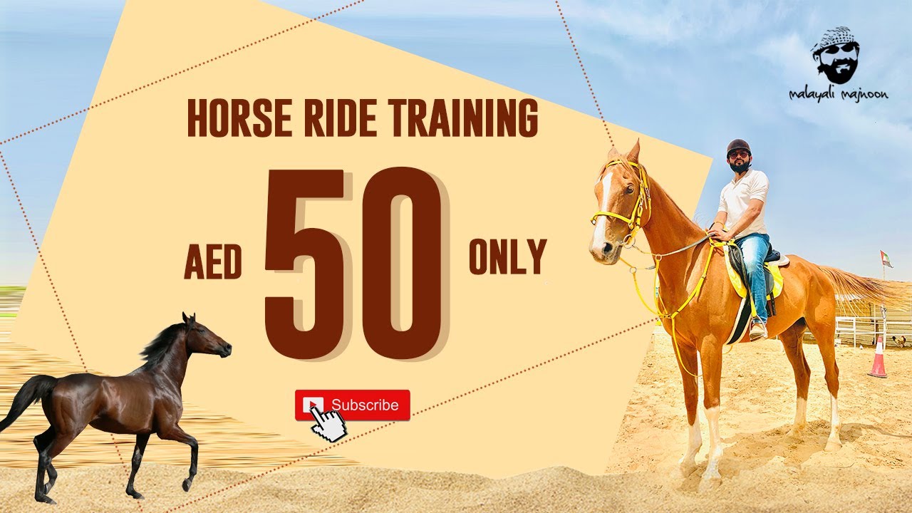 Horse riding lessons