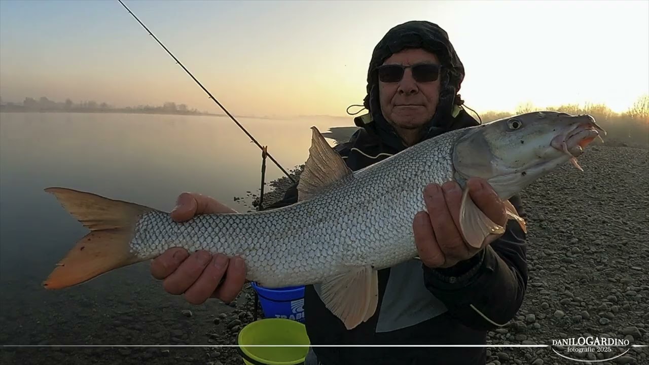 A feeder provando SHIMANO BBX DESPINA