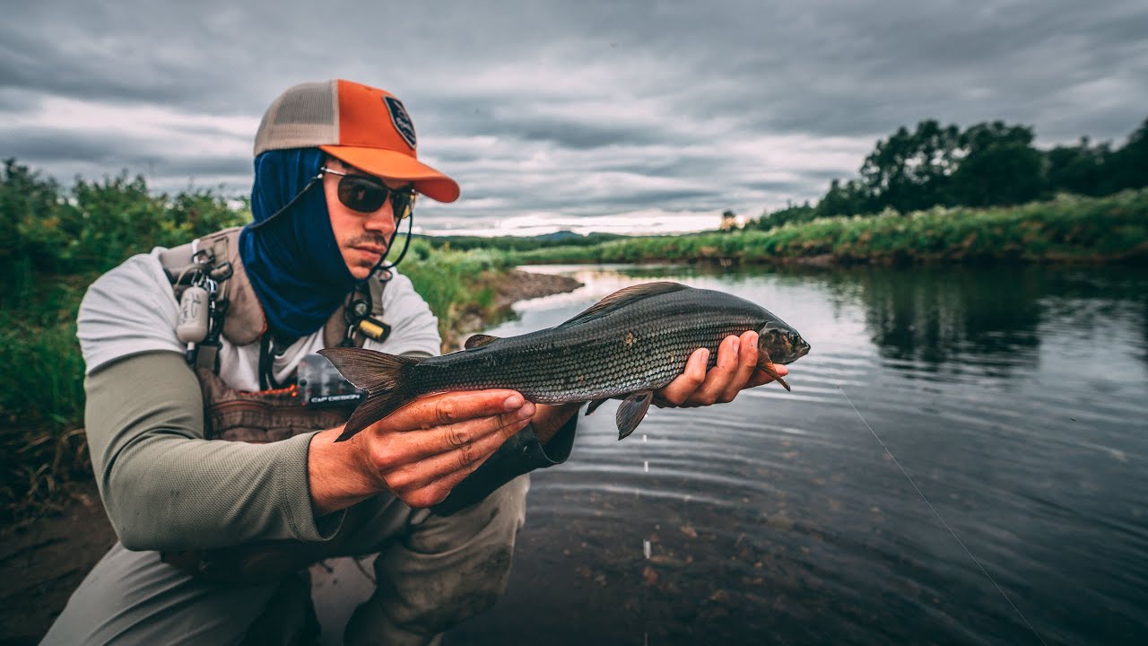 Hiking hard in Swedish Lapland to fish for trout & grayling !