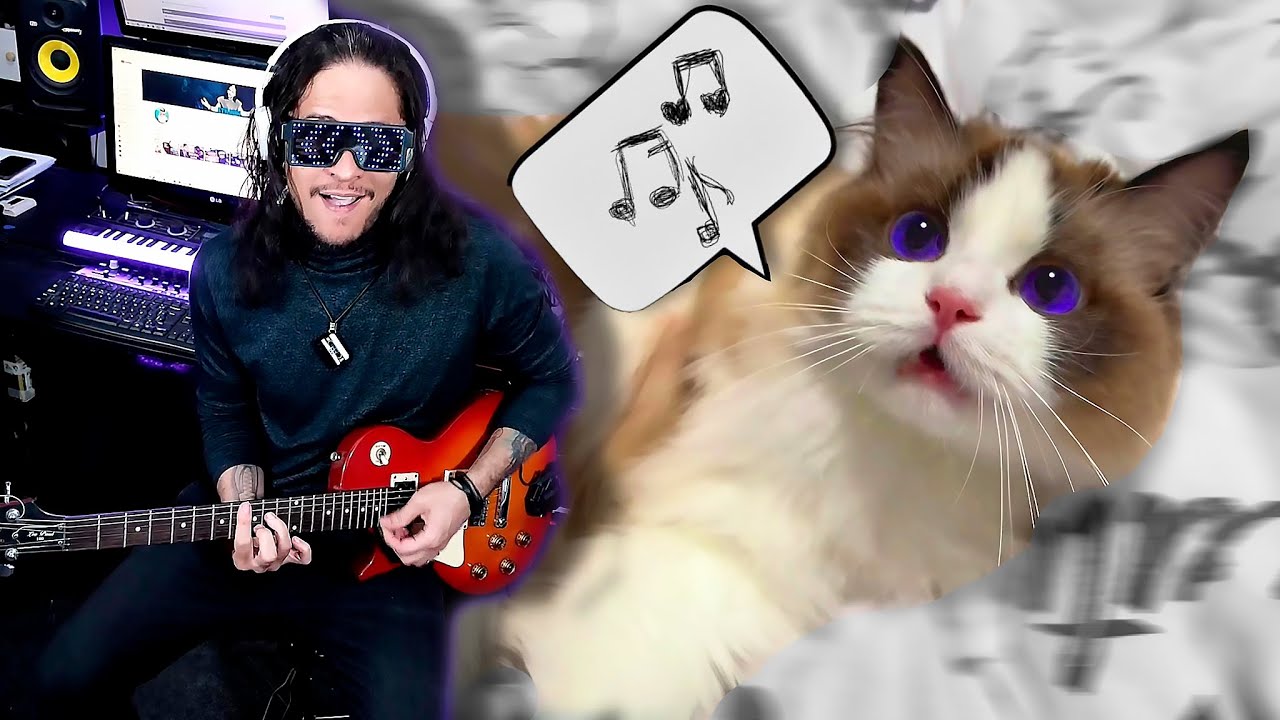 Música Felina / Feline Melodies