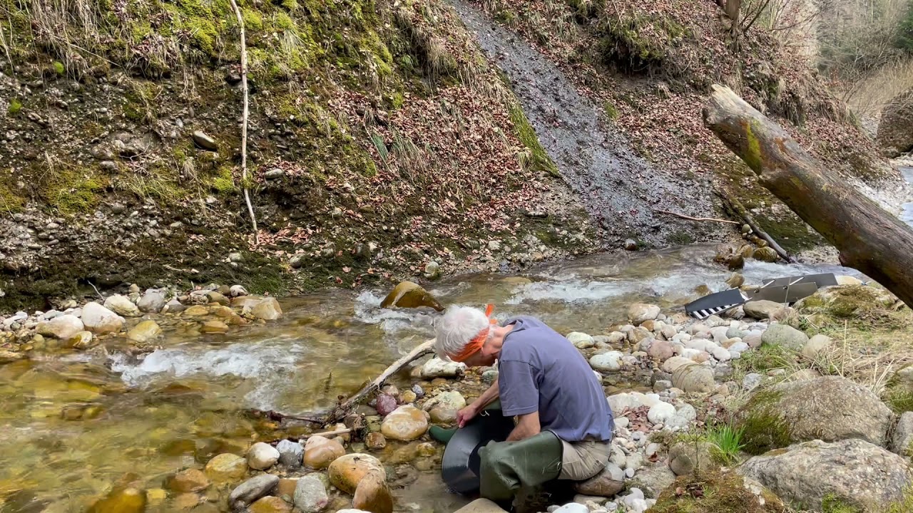 Schnelles Frühlingsgold am Napf (Schweiz)