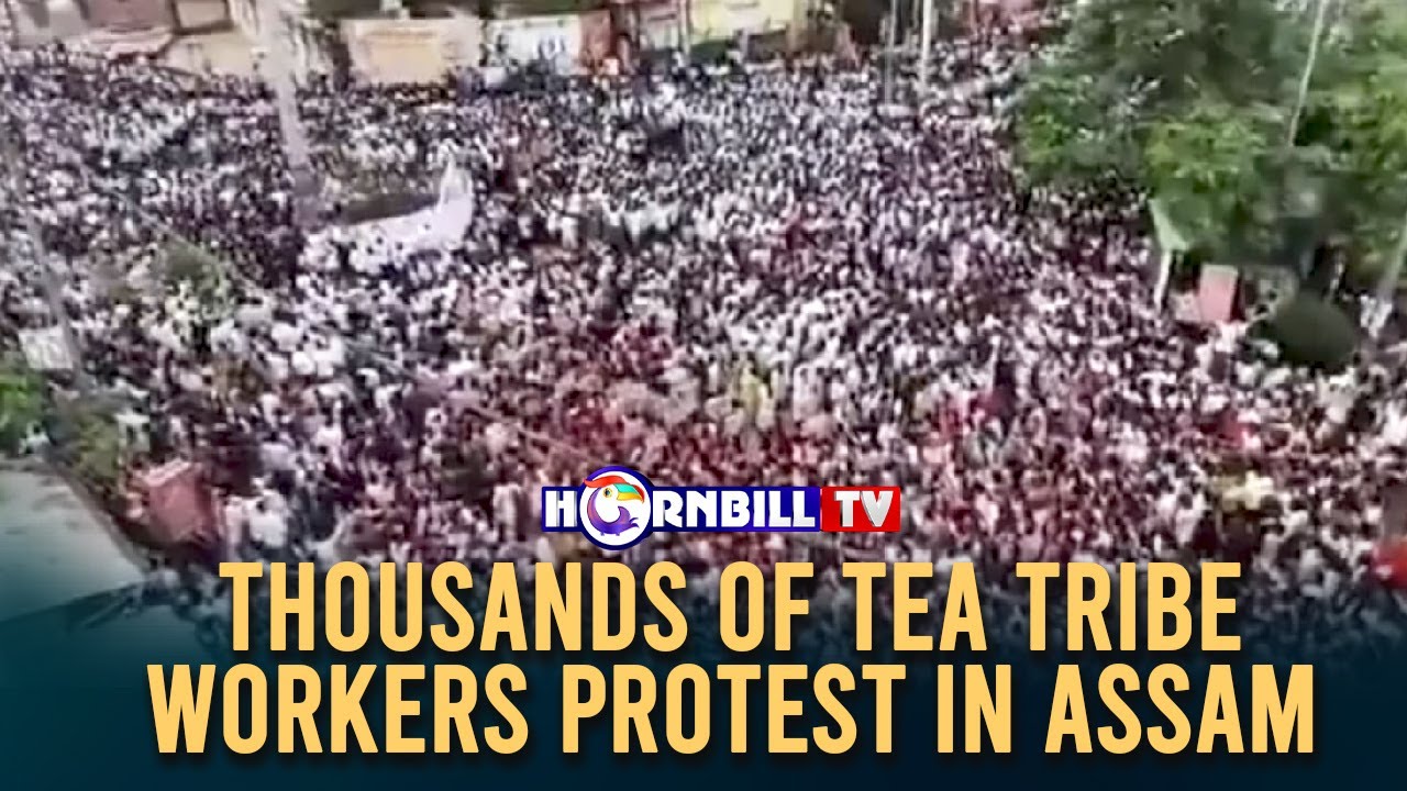 THOUSANDS OF TEA TRIBE WORKERS PROTEST IN ASSAM