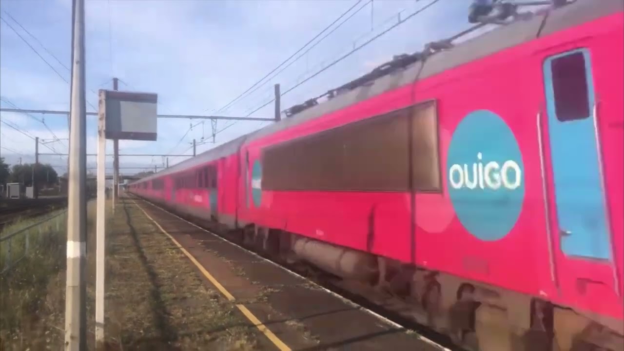 Compilation de corails en France