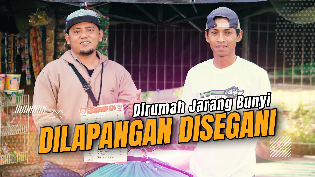 Dirumah Jarang Bunyi ❗❗ Ini Dia Rahasia Murai Batu Mletre Tampil Stabil