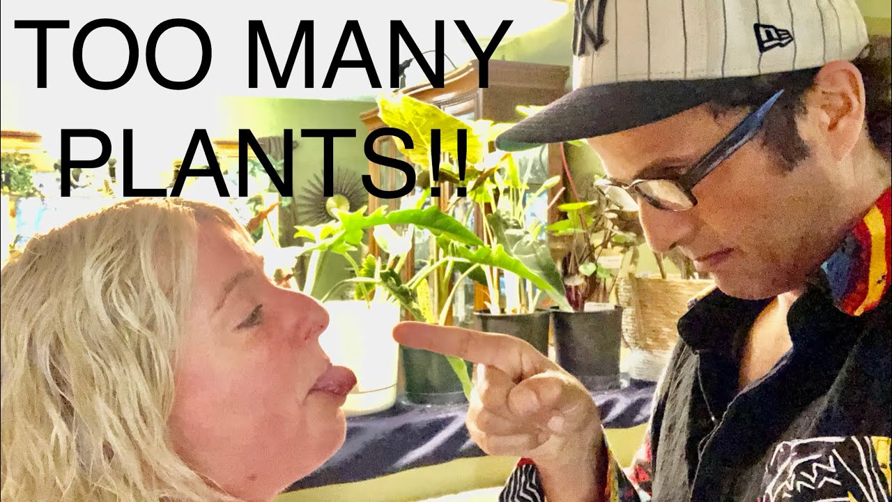 TOO MANY plants! How 2 know if u have too many plants. you addicted? Plants taking over your house?
